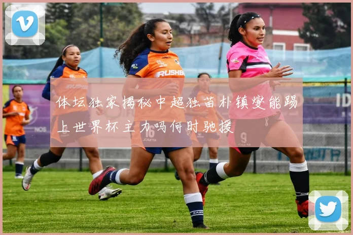 体坛独家揭秘中超独苗朴镇燮能踢上世界杯主力吗何时驰援